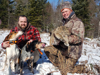 Bobcat Hunting