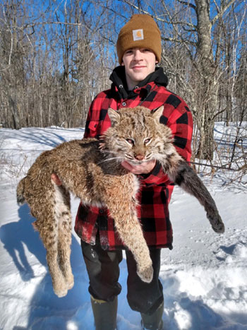 Bobcat Hunting