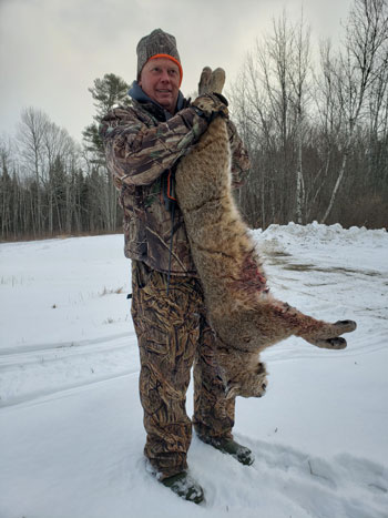 Bobcat Hunting