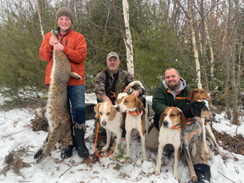 Bobcat Hunting