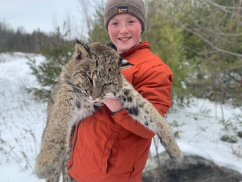 Bobcat Hunting
