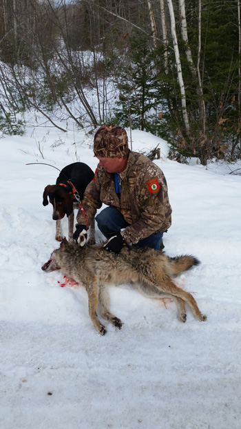 Coyote Hunting